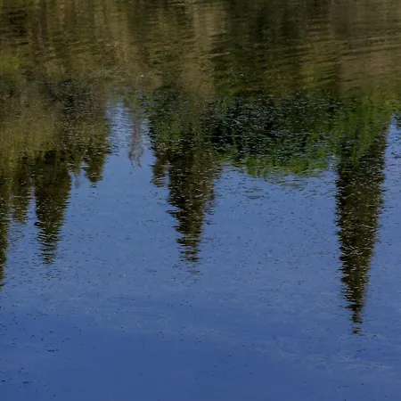 Lake House Lejlighed